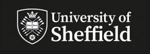 11 borse di dottorato all'Università di Sheffield